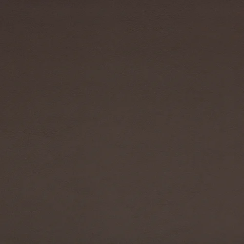 SC06-1006