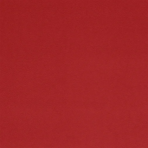 SC09-1009