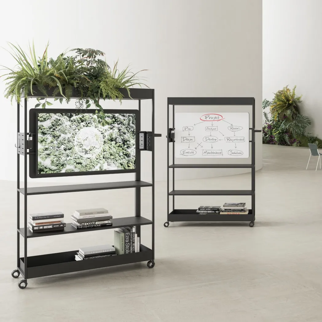Multimedia